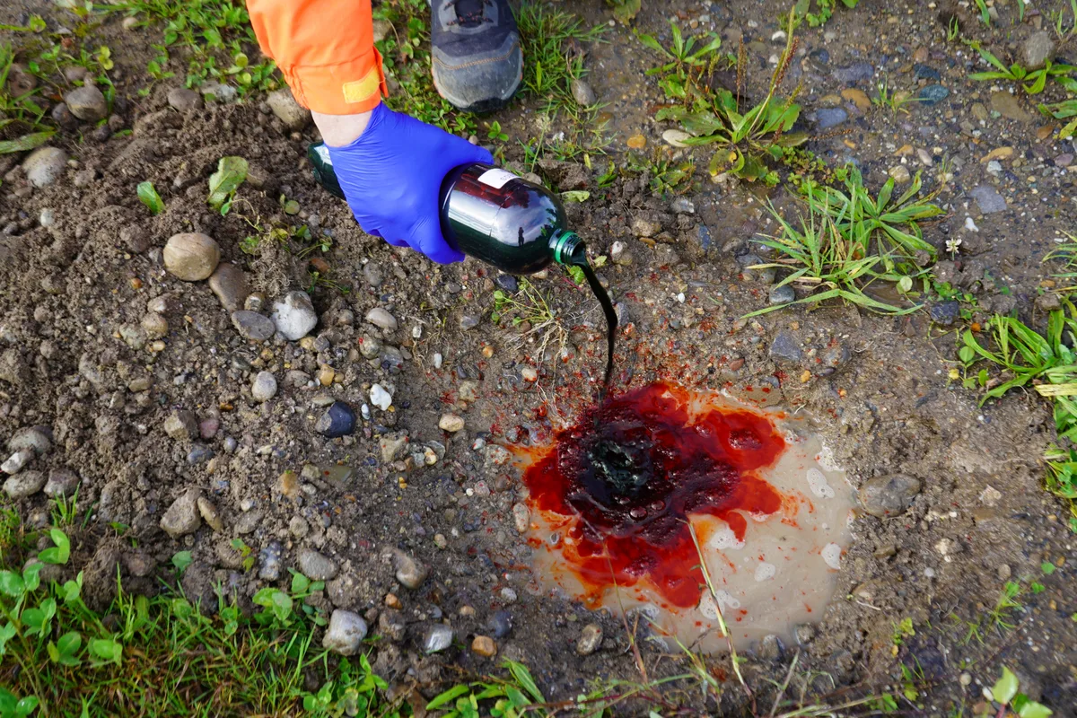 Eine Person leert rotes Färbemittel in eine Pfütze.